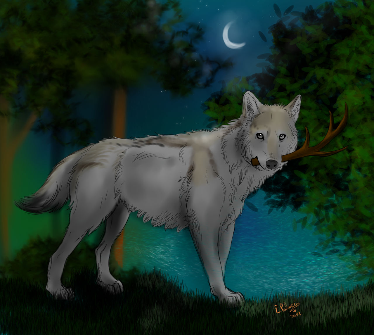 Farjali wolf