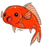 Mini Goldfish 1