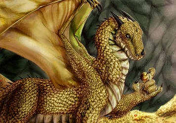 Golden Dragon by FuriarossaAndMimma