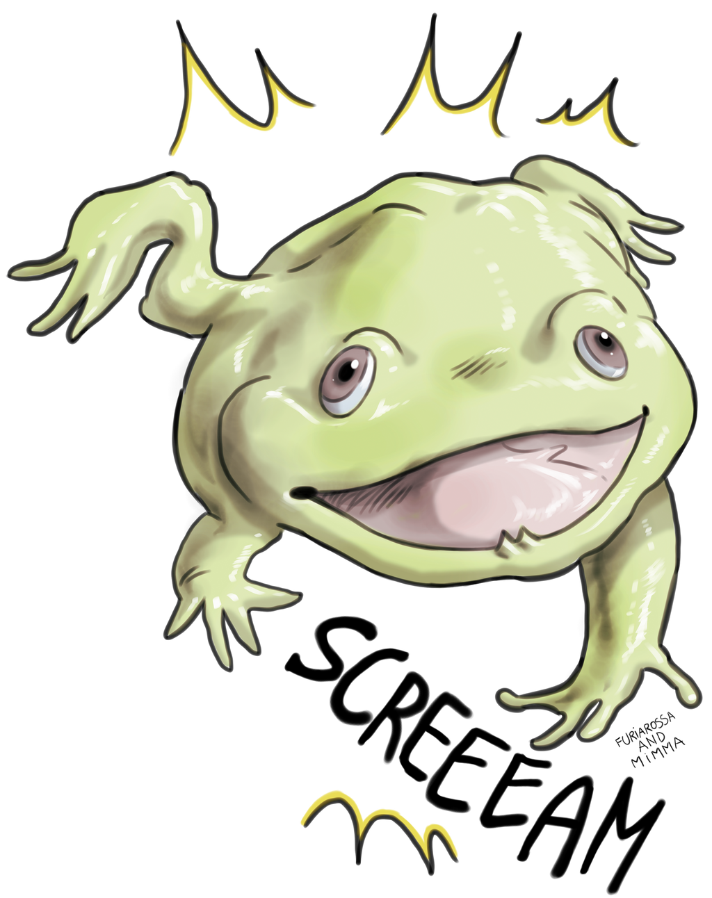 Why Do Budgett S Frog Scream Why Do Budgett S Frog Scream