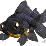 Black moor goldfish