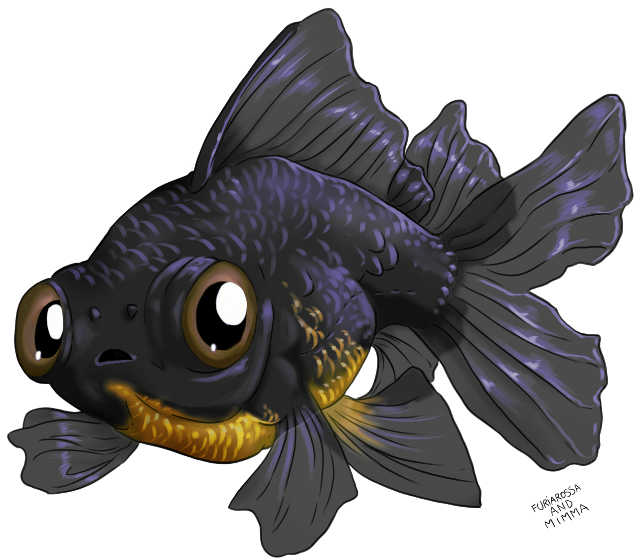 Black online moor goldfish