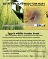 Egypts Wildlife Need Ur Help