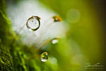Frozen Drop by diggedy