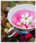 Cup of Spring II by Memmarte