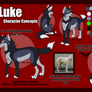 Character Test -Luke-