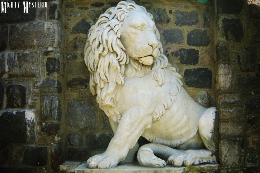 The Lion