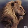 World Lion Day