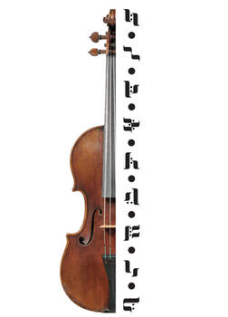 Violin