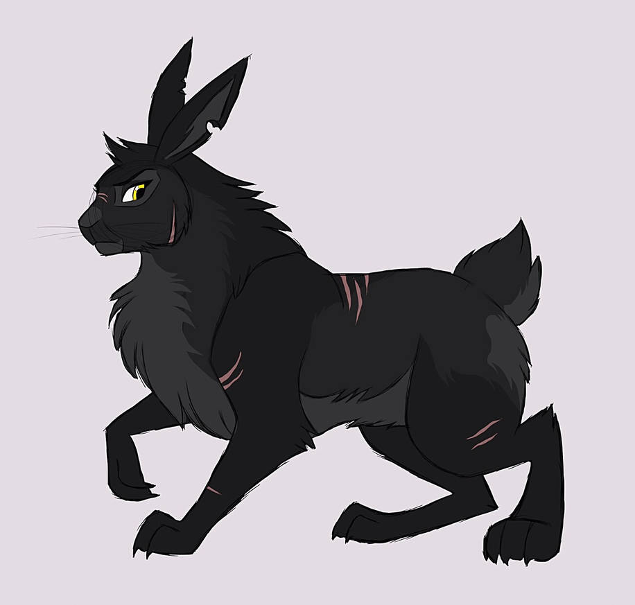 Rook by Grim-Piggles on DeviantArt