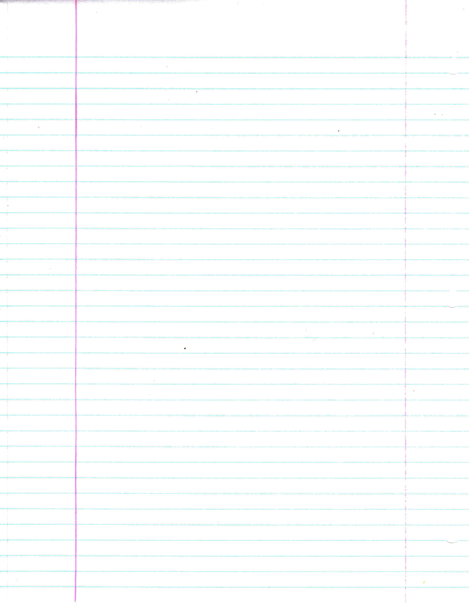 Notebook Paper Plain