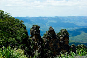 Blue Mountains are Blue.