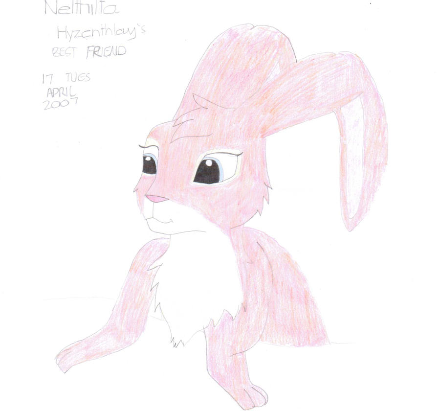 Watership Down Series: Nelthilta