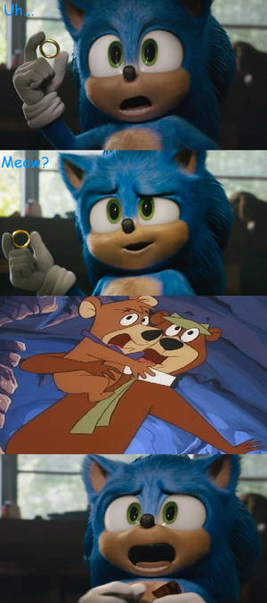 Yogi and BooBoo meets Sonic