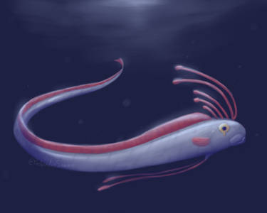 Explore the Best Orafish Art | DeviantArt