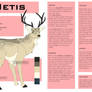 | Netis Reference Sheet |