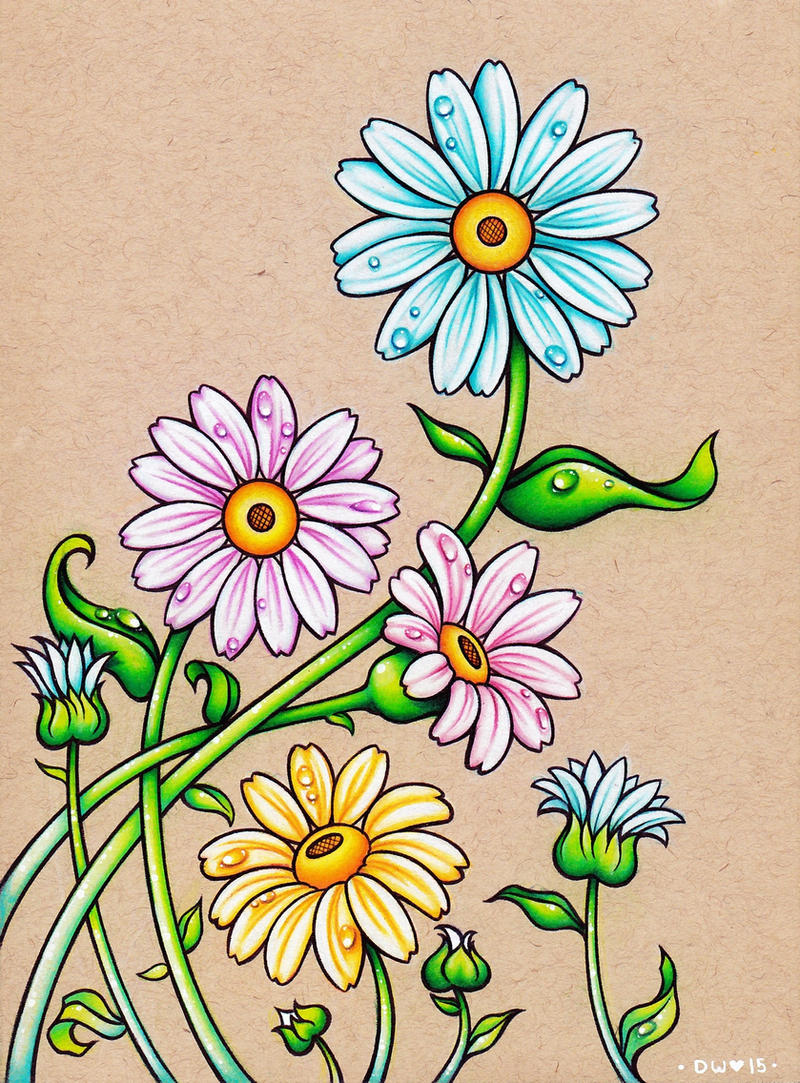 Daisies by dannii jo on DeviantArt