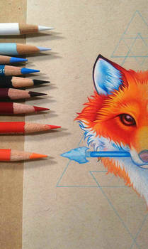 Coloured pencils on black paper by Leochi on DeviantArt
