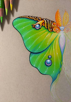 Luna Moth - WIP