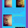 Tutorial : Grunge Wallpapers