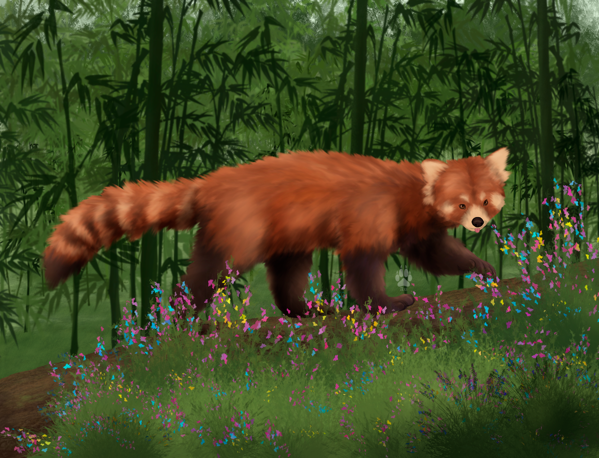 Red Panda By Axiwolf01 On Deviantart Red Panda By Axiwolf01 On Deviantart