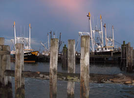 Fishing Boats