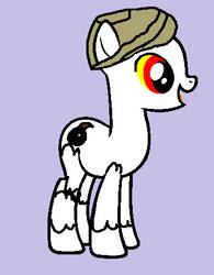 Achmed as a pony