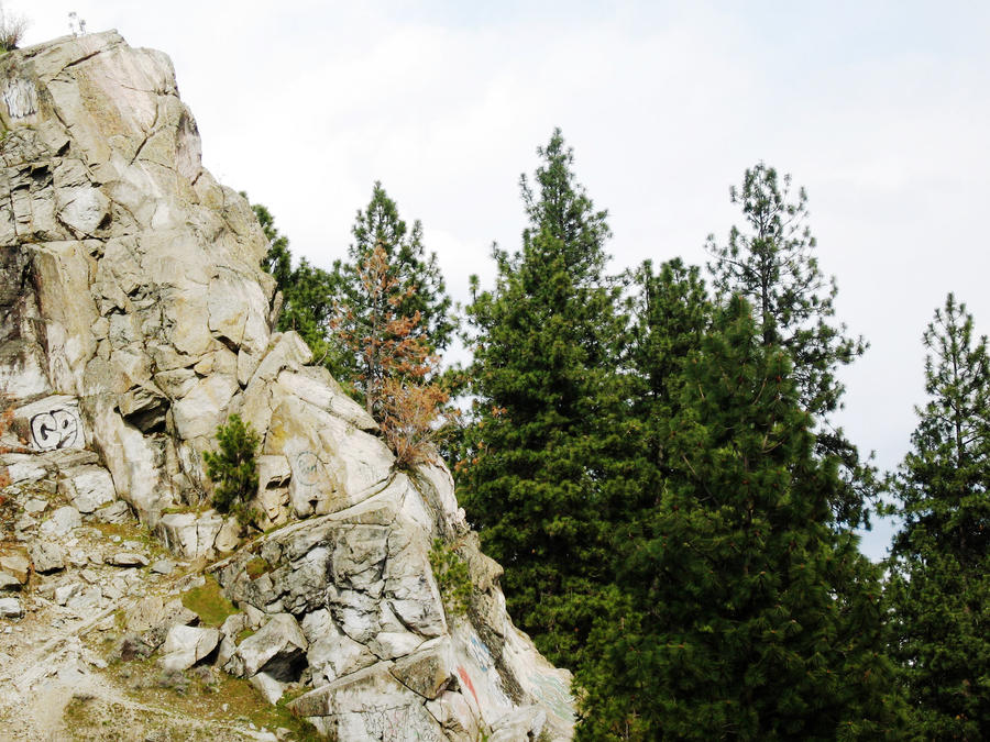 Mountain and Trees