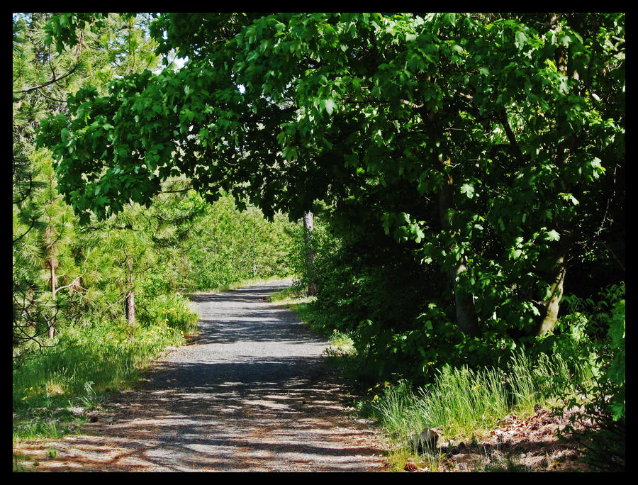 Down the Grey Gravel Road