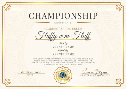 Championship Certificate