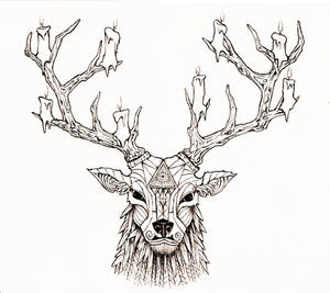 Stag