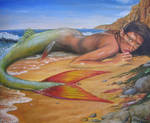 Beached Mermaid Fin
