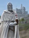 Templar of the Citadel