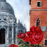 Venetian Roses