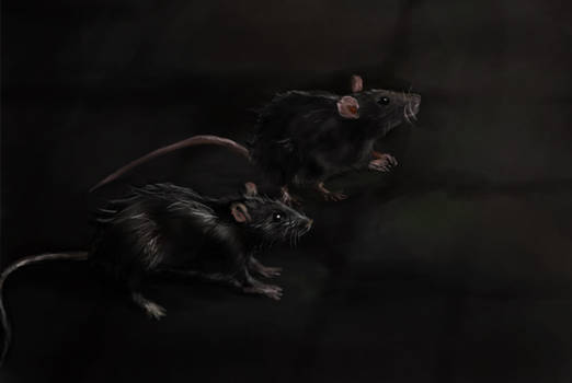 Rat Deviantart Explore the Best Rats Art | DeviantArt