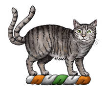 Cat With Two Tails