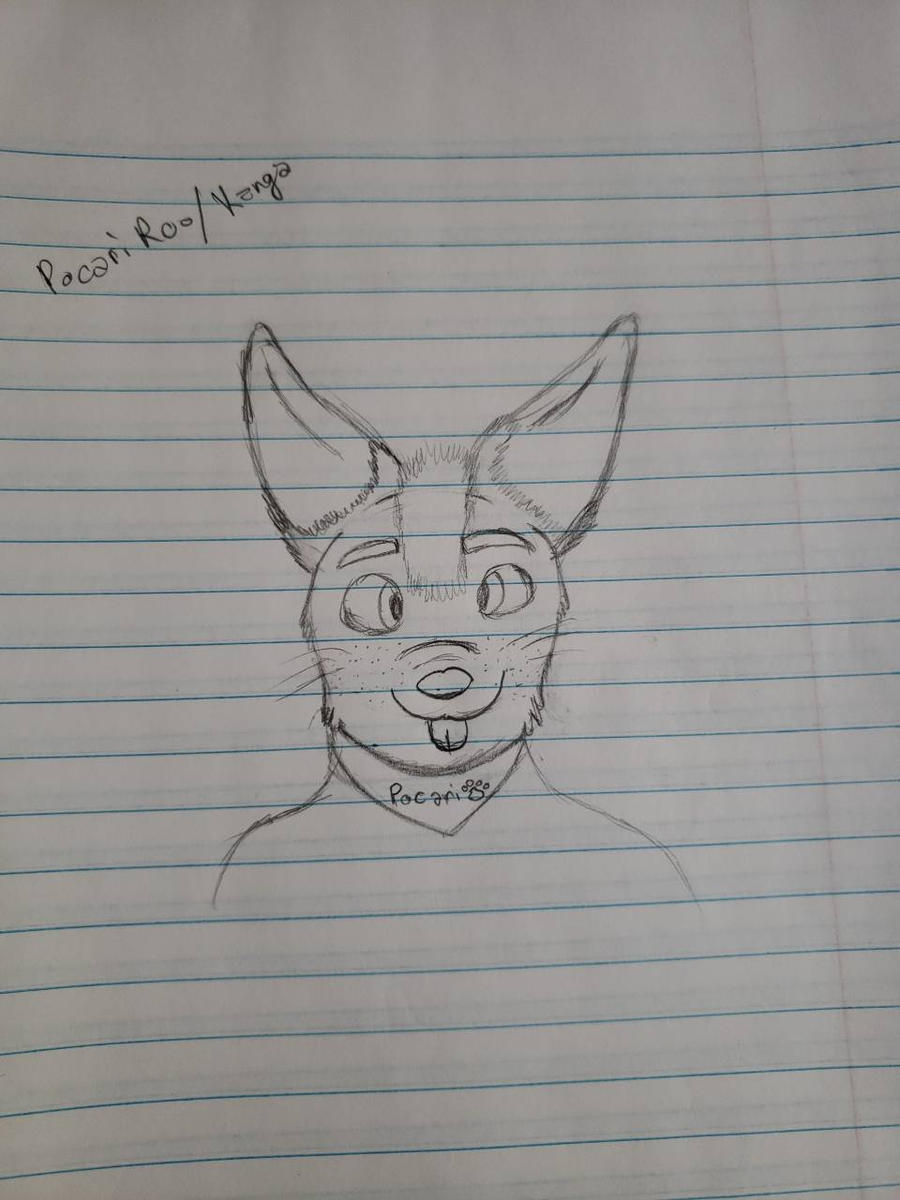 Pocari Roo Drawing Pocari Roo by drawing-distractions on DeviantArt