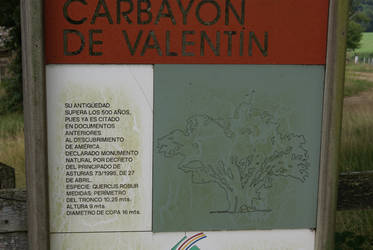 Carbayon de Valentin 5.