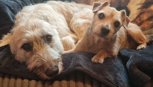 Besties