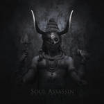Soul Assassin