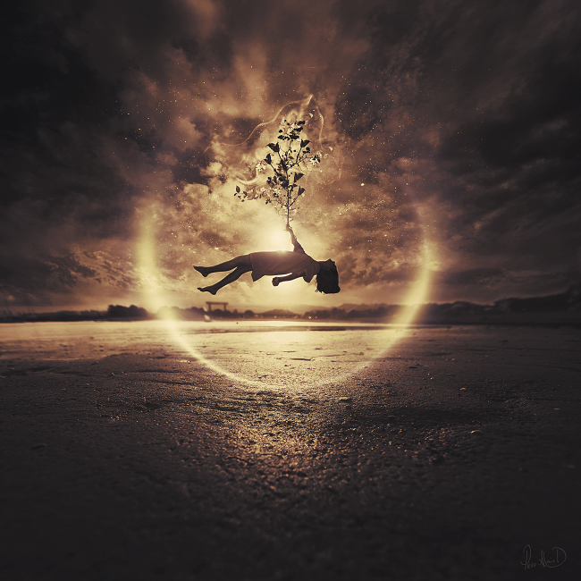 Seeds Of Life by 3mmI