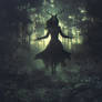 L'Ame de la Foret