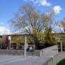 York University Commons