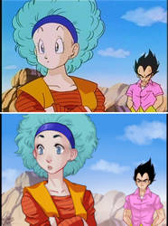 Redraw -Bulma and Vegeta