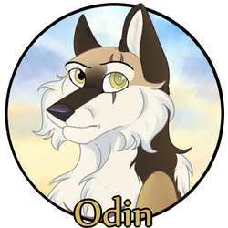 Odin Medallion + Relationship Tracker