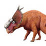 Pachyrhinosaurus canadiensis