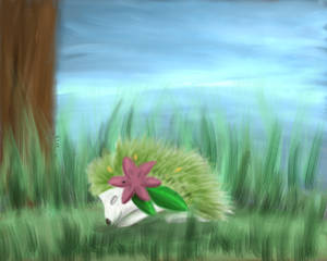 Resting shaymin