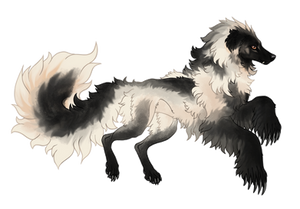 Silky Beardog #83 by markedwolf Silky Beardog #83 by markedwolf