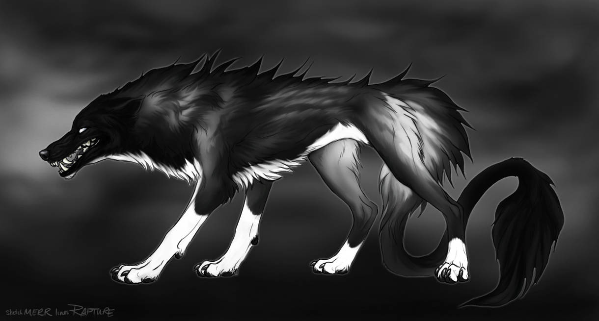 Barghest Wolf #2 by markedwolf Barghest Wolf #2 by markedwolf