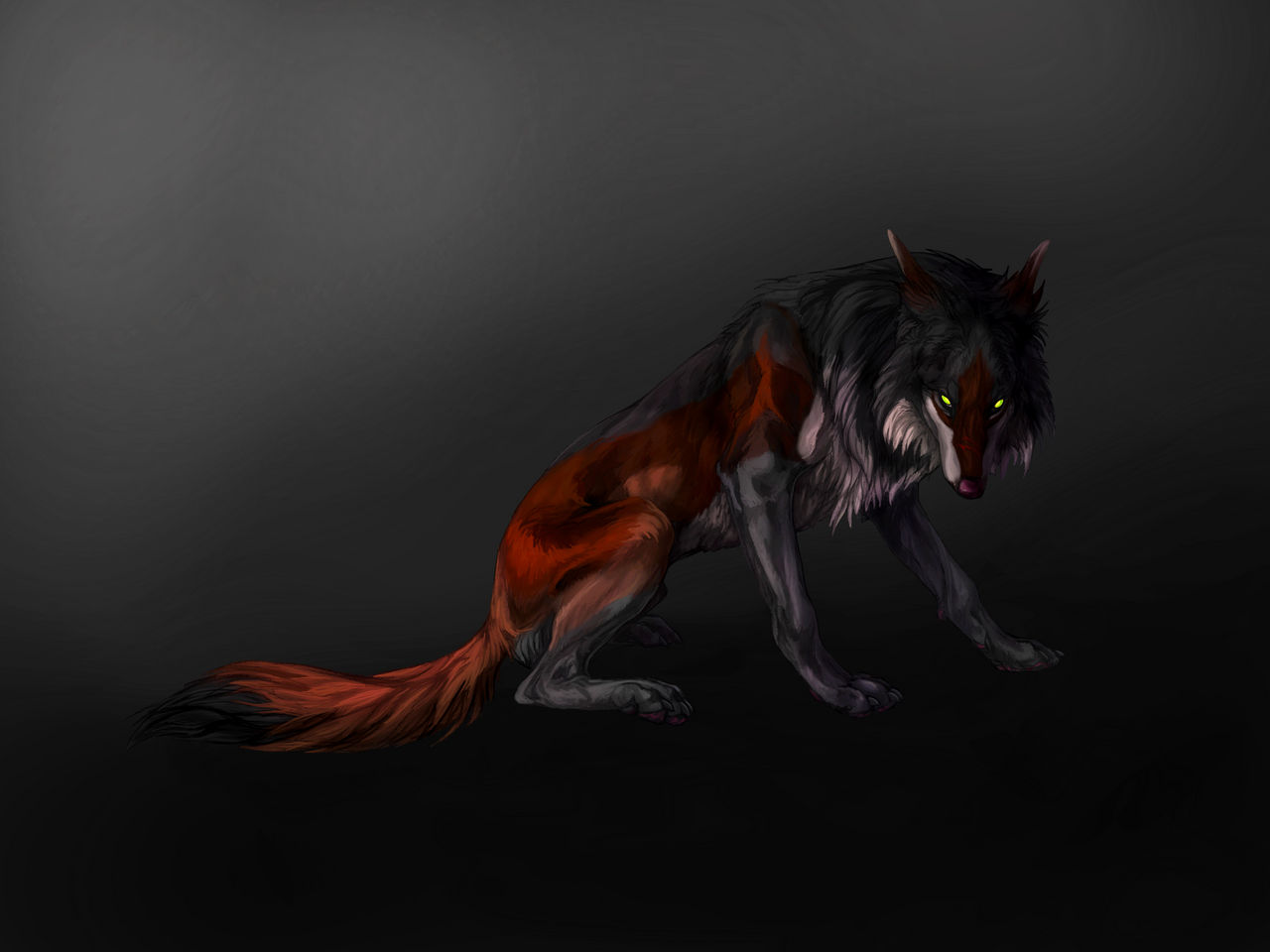 bruised and borrowed by markedwolf